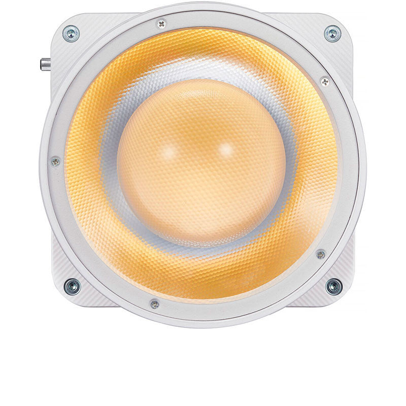 Lámpara GODOX ML80 LED Bicolor